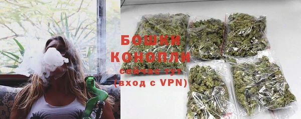 PSILOCYBIN Арсеньев