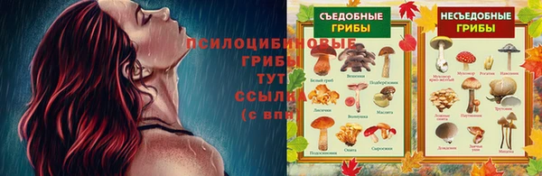 гидропоника Армянск