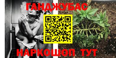 молекула духа Заволжье