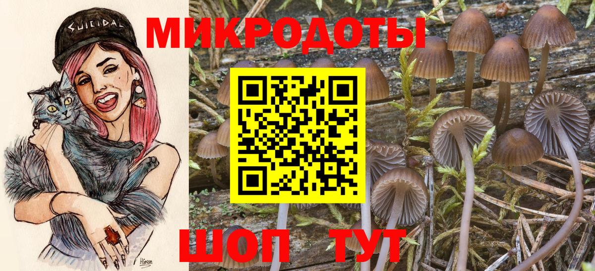 Псилоцибиновые грибы Magic Shrooms  Вход с VPN  Волжский  Галлюциногенные грибы GOLDEN TEACHER 